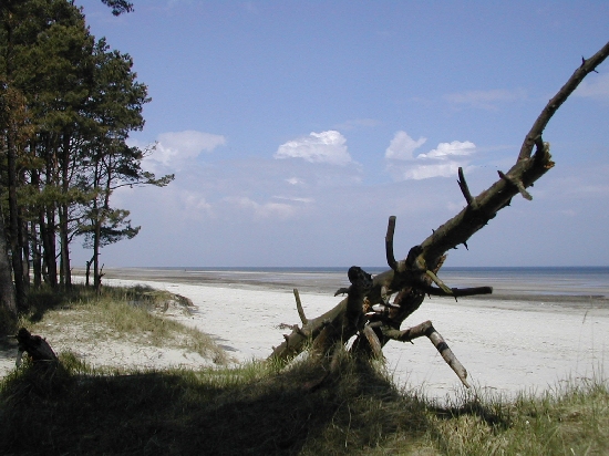 Sommerstrand in Karlshagen